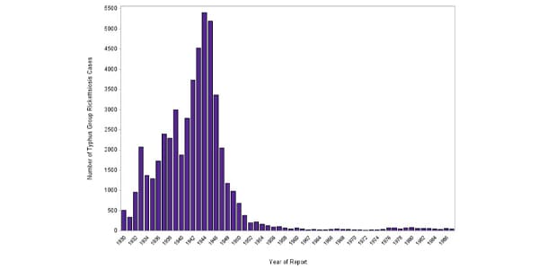 Graph showing Typhus cases