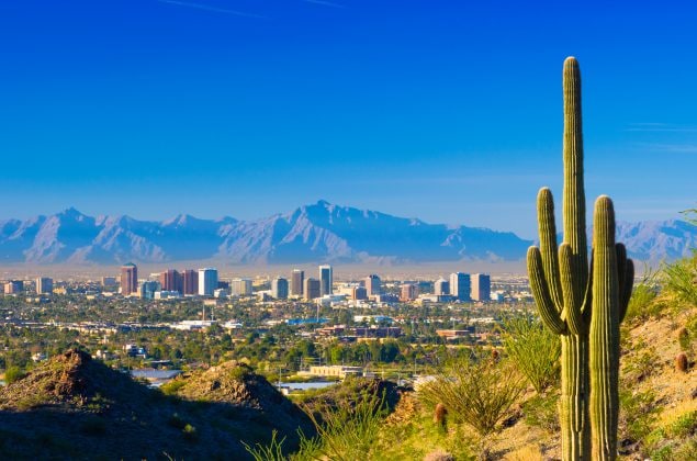 La ciudad de Phoenix con un cactus de saguaro y un paisaje del desierto en primer plano