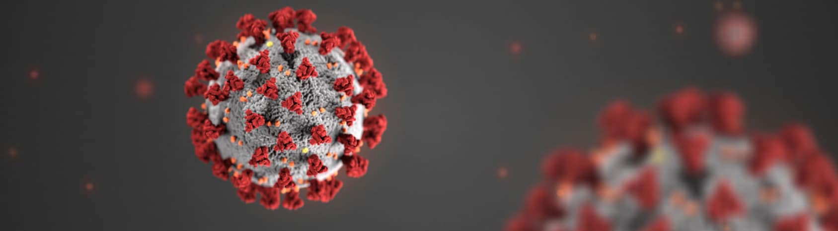Los CDC están respondiendo al nuevo brote del coronavirus.