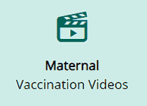 hcp-edu-maternal-vacc-01 Maternal Vaccination Videos