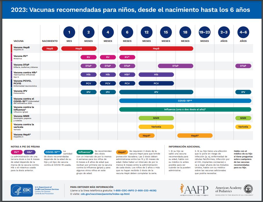 Ilustraciôn del calendario de vacunaciôn fácil de leer