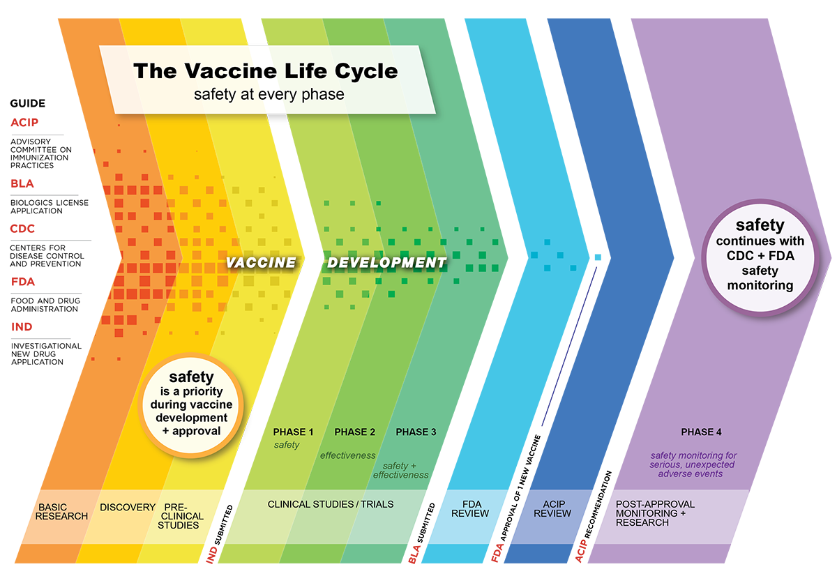 Acip Process How Vaccines are Developed and Approved for Use | Vaccines ...