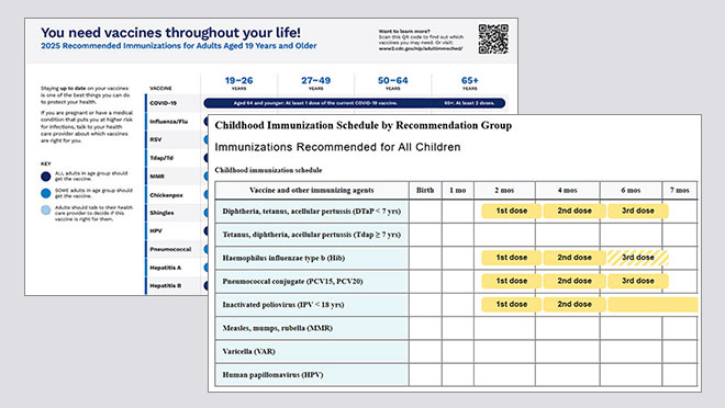 Vaccine Schedules For You and Your Family | Vaccines & Immunizations | CDC