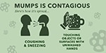 Infographic: Mumps. More than just swollen glands.