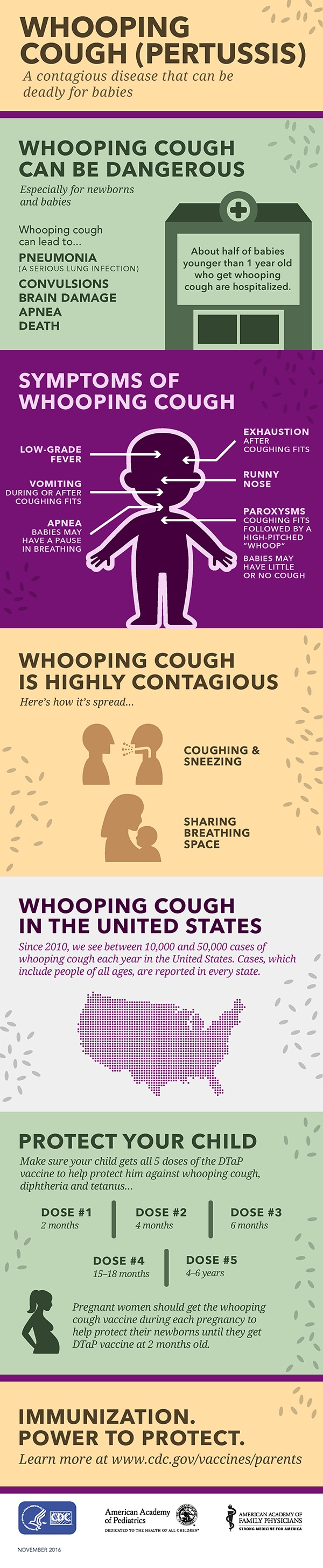 Infographic: Whooping cough (pertussis). A contagious disease that can be deadly for babies.