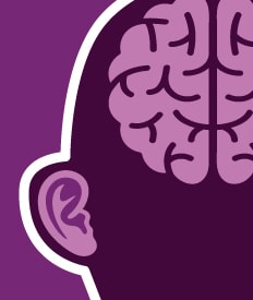 Ilustración del primer plano de un lado de la cabeza destacando un oído y el cerebro