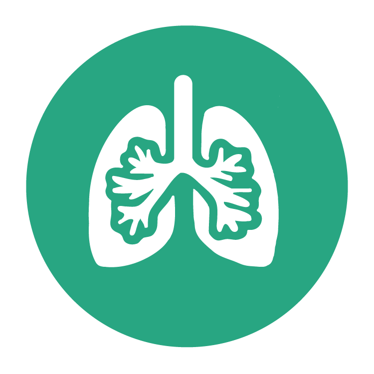 Ilustración de los pulmones