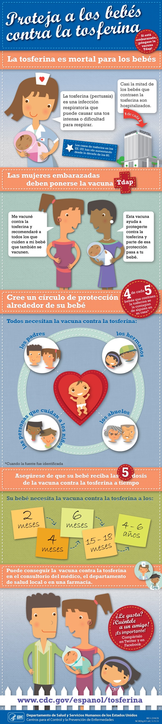 Proteja a los bebés contra la tosferina - infographic