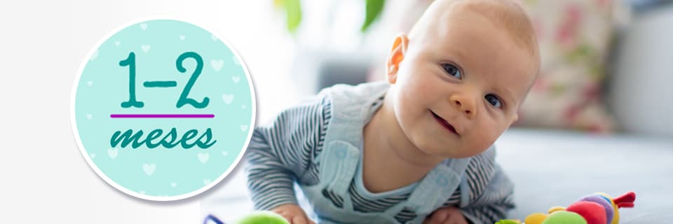Vacunas el bebé 1 a los 2 meses | CDC