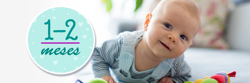 Vacunas Para El Bebe A Los 1 2 Meses Cdc Vacunas Para El Bebe A Los 1 2 Meses Cdc