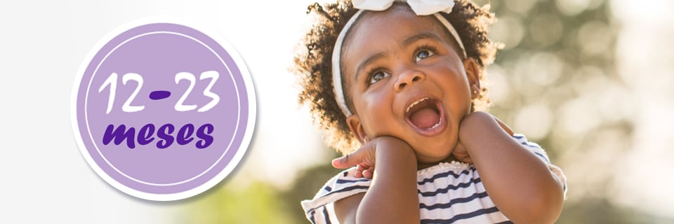 trimestre Túnica amplificación Vacunas para el bebé a los 12-23 meses | CDC