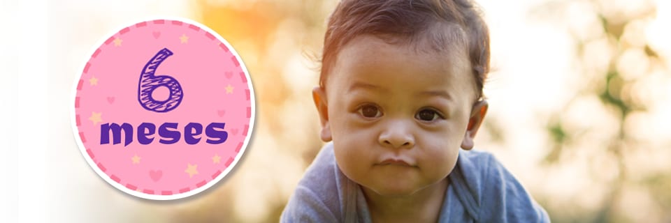 Ponte de pie en su lugar Anécdota análisis Vacunas para el bebé entre los 5 y los 6 meses | CDC