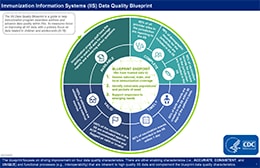Immunization Information Systems (IIS) Data Quality Blueprint