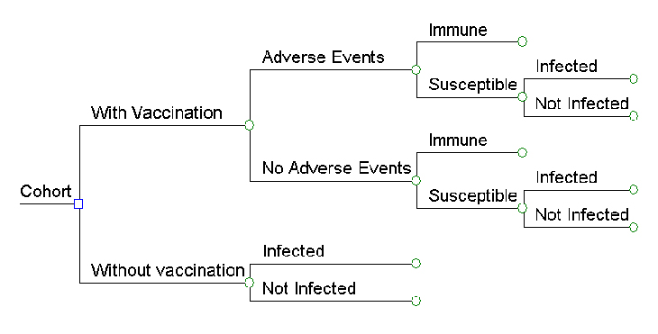 The figure shows a branching structure. It starts with a single birth cohort, which divides into 2 arms &ndash; with vaccination and without vaccination. The with vaccination arm further divides three time. The first division is into arms for those who either have or do not have an adverse reaction to vaccination, then those arms divide into arms where children either become immune to disease or remain susceptible, and finally the susceptible arms divide into those who are infected or not. The without vaccination arm simply divides once into those who are infected or not.