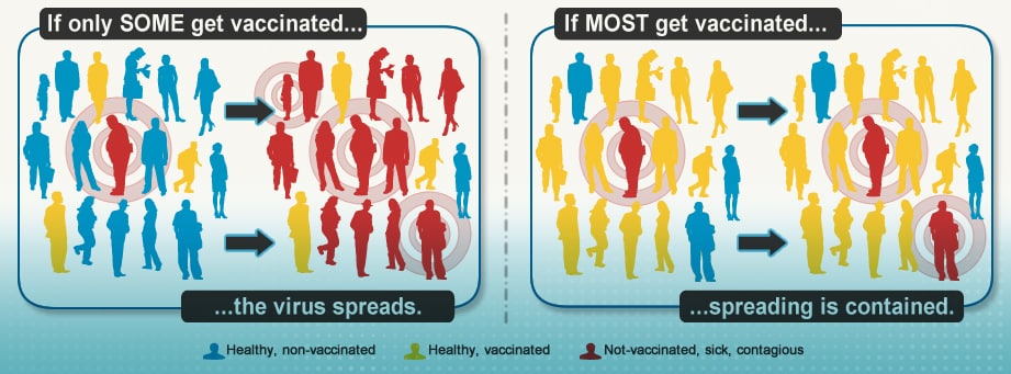 उदाहरण: यदि केवल कुछ को ही टीका लगाया जाता है, तो वायरस फैलता है। यदि अधिकांश का टीकाकरण हो जाता है, तो प्रसार निहित है।