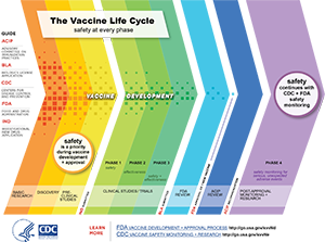 Vaccine Safety Process