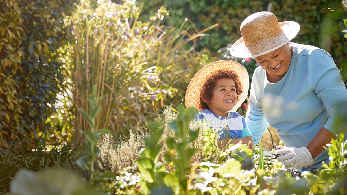 Graphic of an older adult gardening