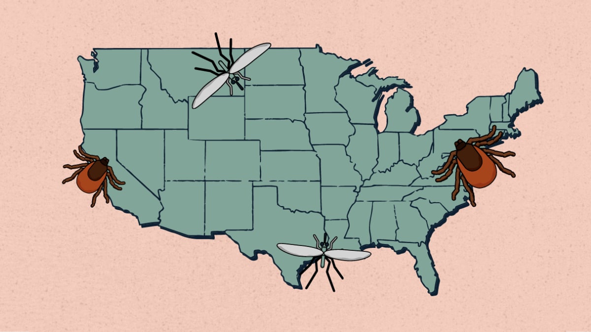 Graphic of a U.S. map showing the mosquitoes and ticks live everywhere.
