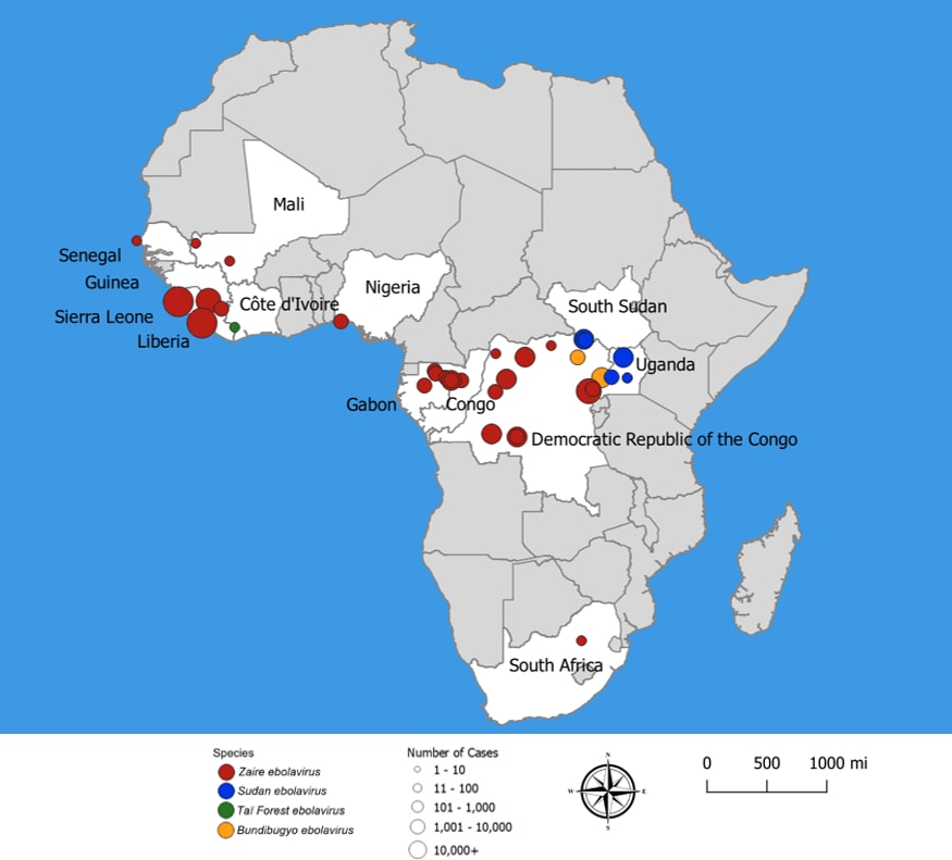 Ebola Distribution Map by species and cases