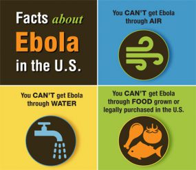 Facts about Ebola in the U.S. virus infographic