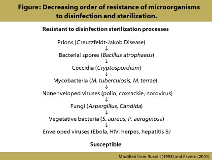 Figure 1. Decreasing order of resistance of microorganisms to disinfection and sterilization. Resistant to disinfection sterilization processes---Prions (e.g., Creutzfeldt-Jakob Disease)-Bacterial spores (Bacillus atrophaeus)--Coccidia (Cryptosporidium)--Mycobacteria (M. tuberculosis, M. terrae)--Non-enveloped viruses (polio, coxsackie, norovirus)--Fungi (Aspergillus, Candida)--Vegetative bacteria (S. aureus, P. aeruginosa--Enveloped viruses (Ebola, HIV, herpes, hepatitis B)---Susceptible. Modified from Russell (1998) and Favero (2001).
