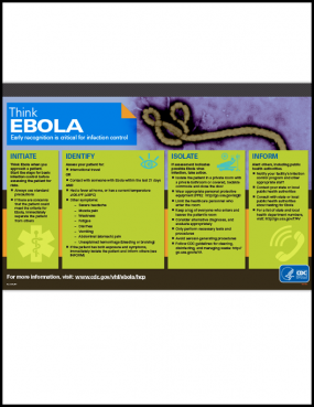 Could It Be Ebola? Poster