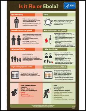 Is It Flu or Ebola? Fact Sheet