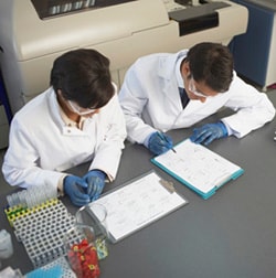 two lab workers reviewing test results