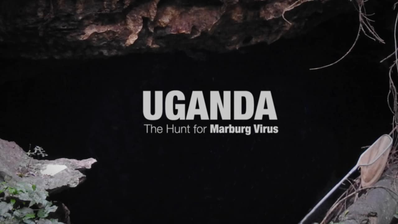 Uganda The Hunt for Marburg Virus