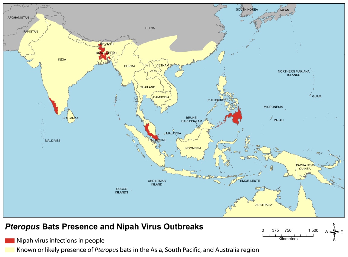 Map showing where Nipah Virus infections have occurred and Pteropus bats are found.