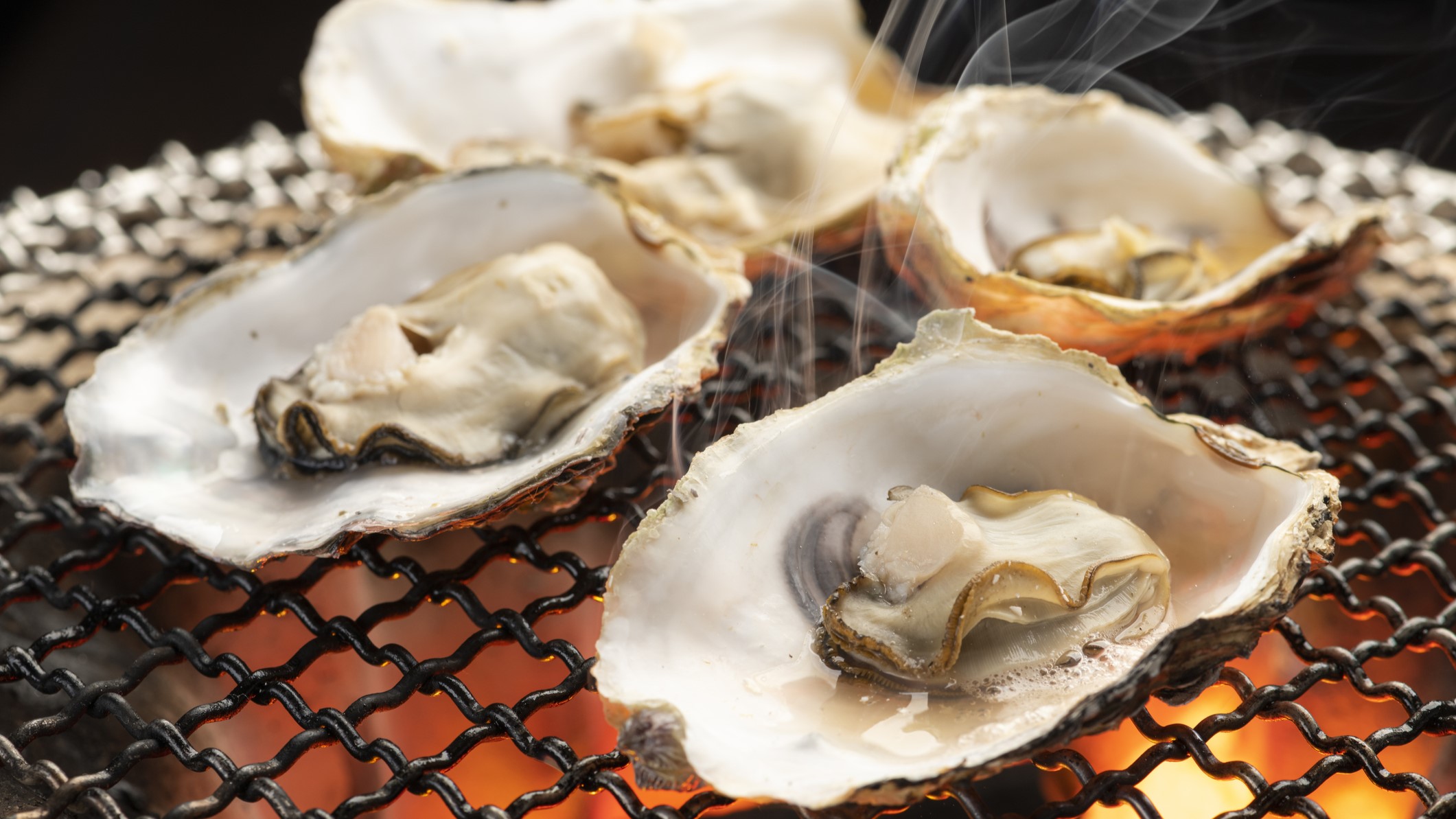 Vibrio Lobster National Contraindications & When to Consult a Doctor