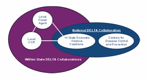 National DELTA Collaboration - Within State DELTA Collaborations, described above