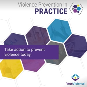Implementing the Technical Packages for Violence Prevention