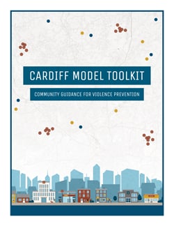 Cover of Cardiff Model Toolkit