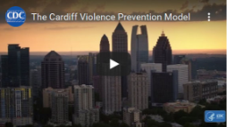 The Cardiff Violence Prevention Model
