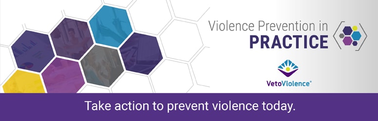  Violence Prevention in Practice 