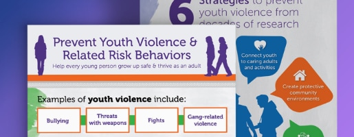 Prevent Youth Violence and Related Risk Behaviors