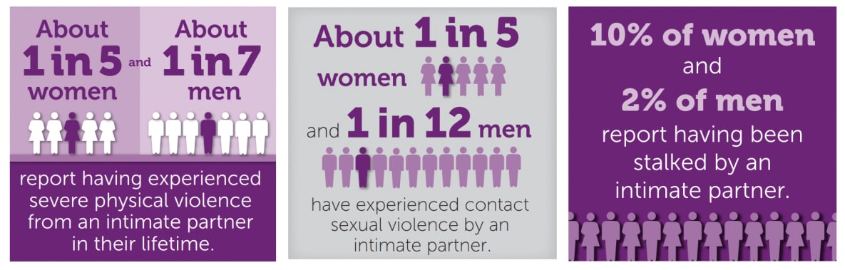 intimate partner violence case study examples