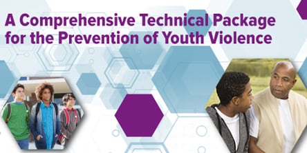 Youth Violence Technical Package