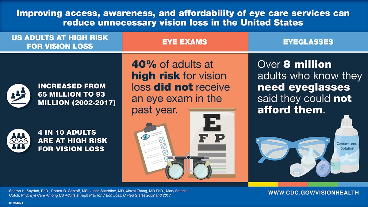 A mini-infographic with key vision loss and vision correction stats