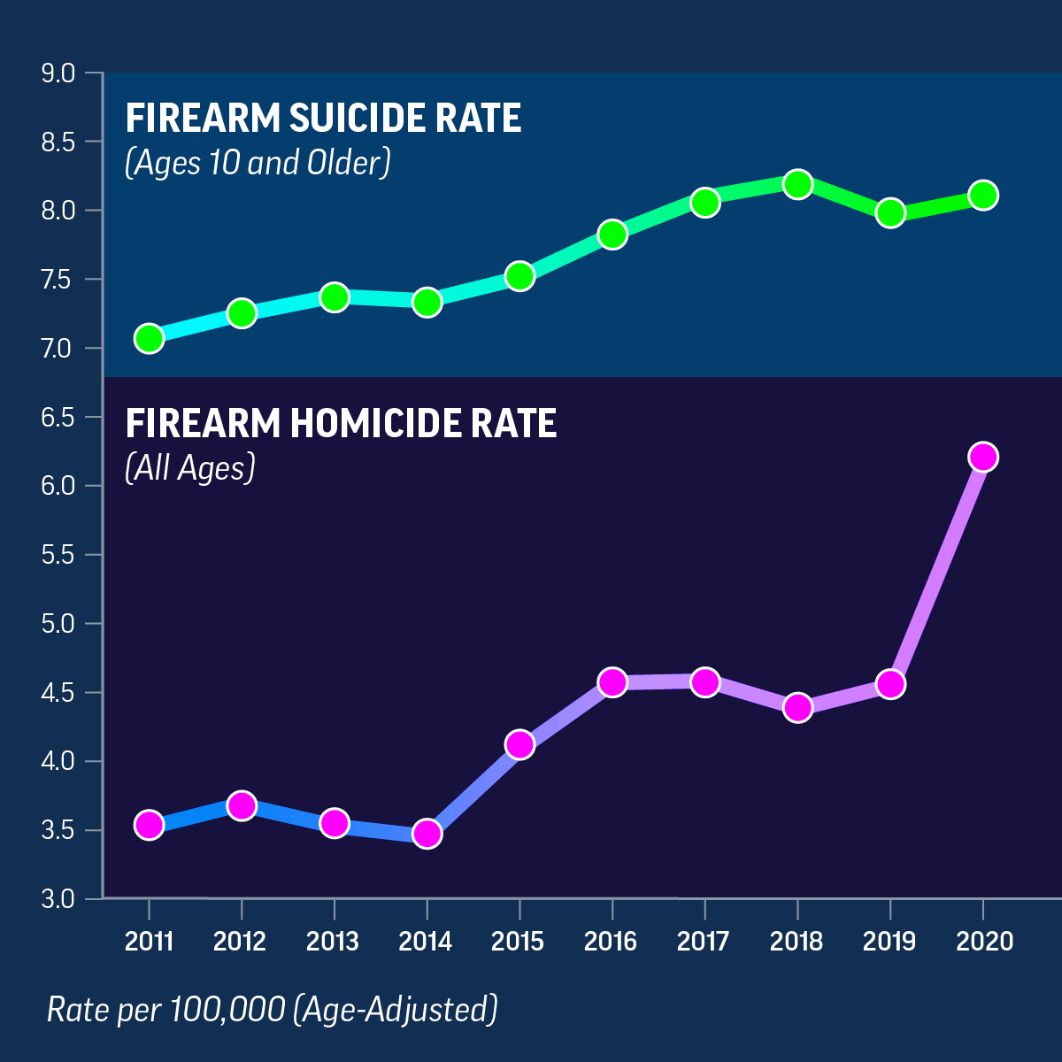 Graphs that show firearm homicides rose sharply and firearm suicides remained high