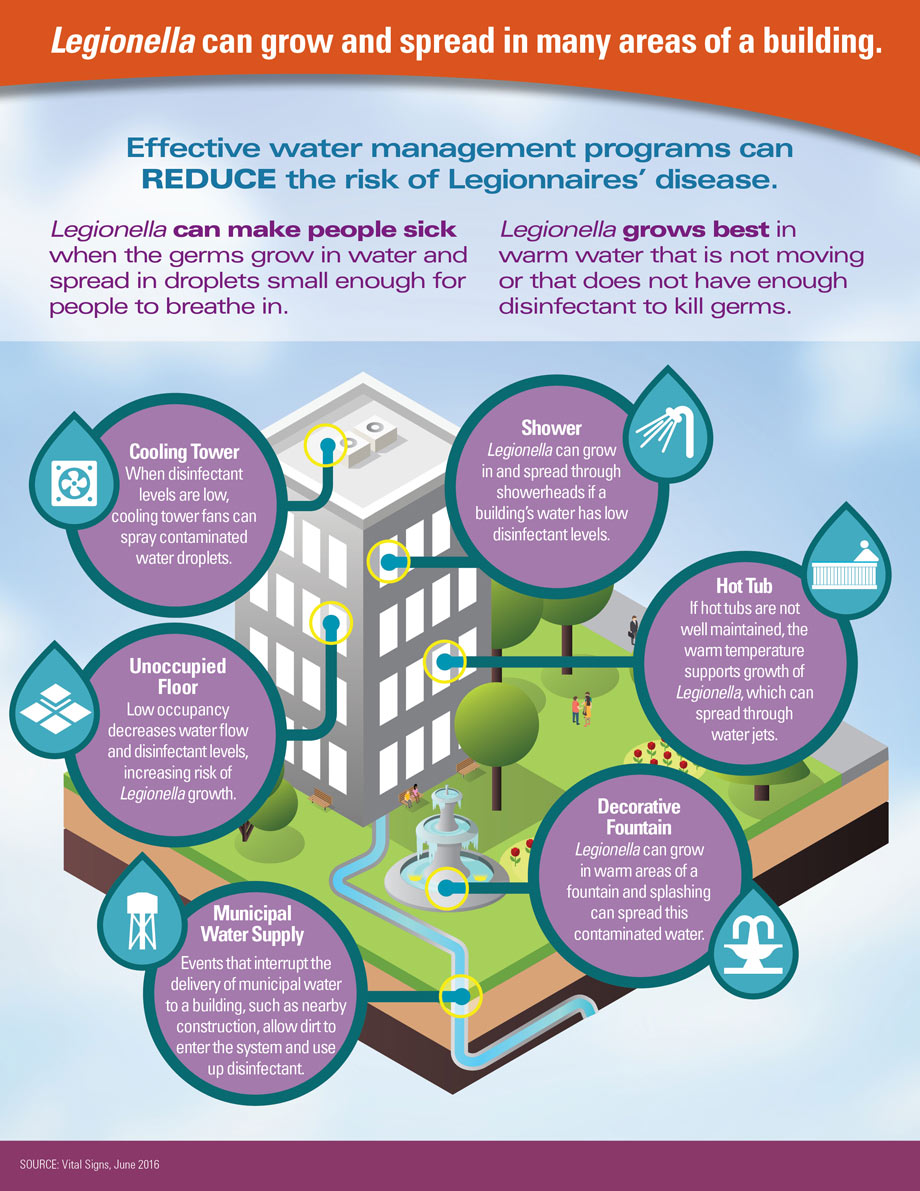 Graphic: Legionella can grow and spread in many parts of a building