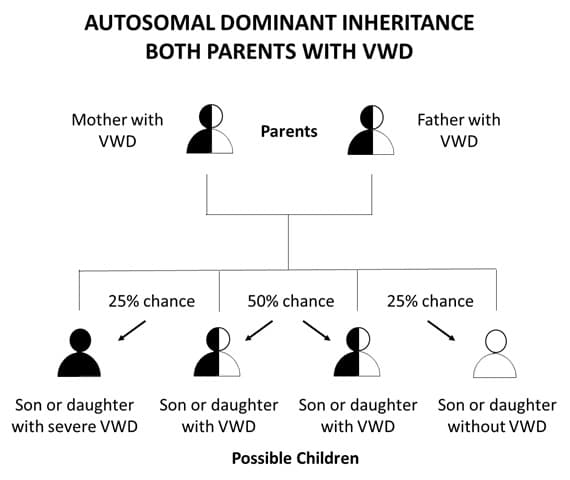 Herencia autos&oacute;mica dominante de ambos padres con la enfermedad de Von Willebrand.
