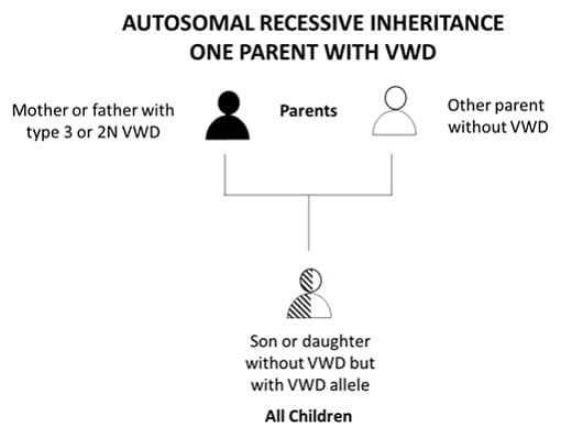 Herencia autos&oacute;mica dominante de uno de los padres con la enfermedad de Von Willebrand.