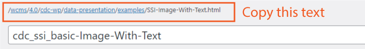 SSI-URL-Screen-Grab Screen Capture of the URL to copy when you want to add the SSI to a markup Include