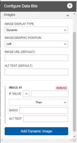 data bite Image Tab Screen Capture of the Images Tab in the Visualization editor for Data Bites