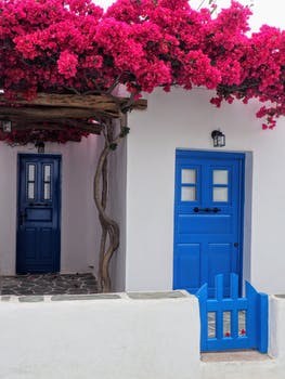 blue door on a white building with colorful flowers