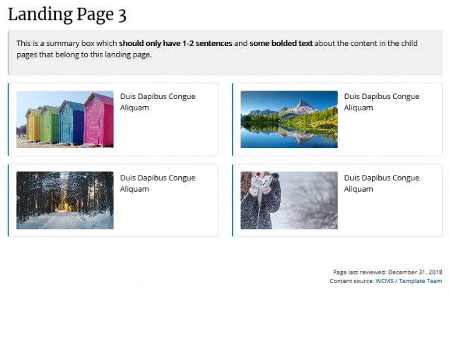 Example landing page 3