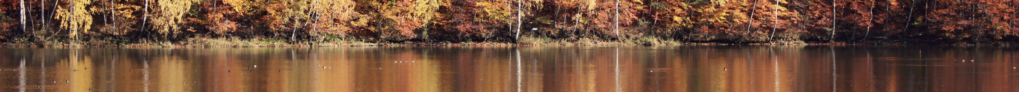 Fluid feature area image