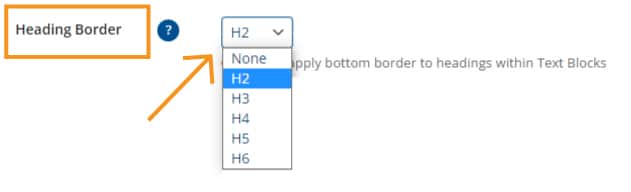 Screen Capture of the Heading Border option for Text Blocks in the WCMS